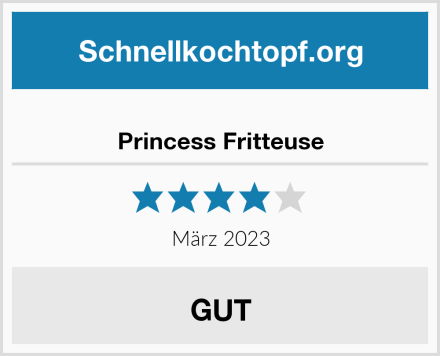  Princess Fritteuse Test